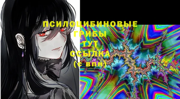 прущий лед Дмитров