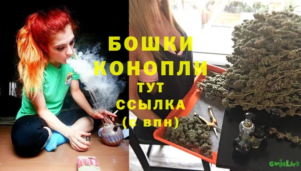 мет Дмитриев