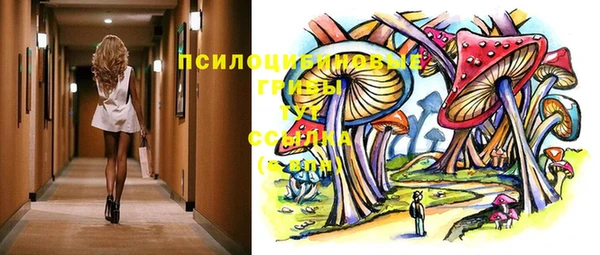прущий лед Дмитров