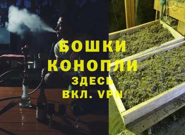 мет Дмитриев